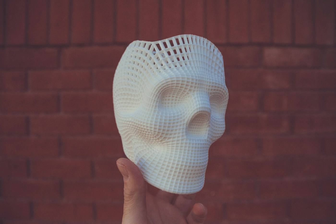 Calavera de malla en la mano