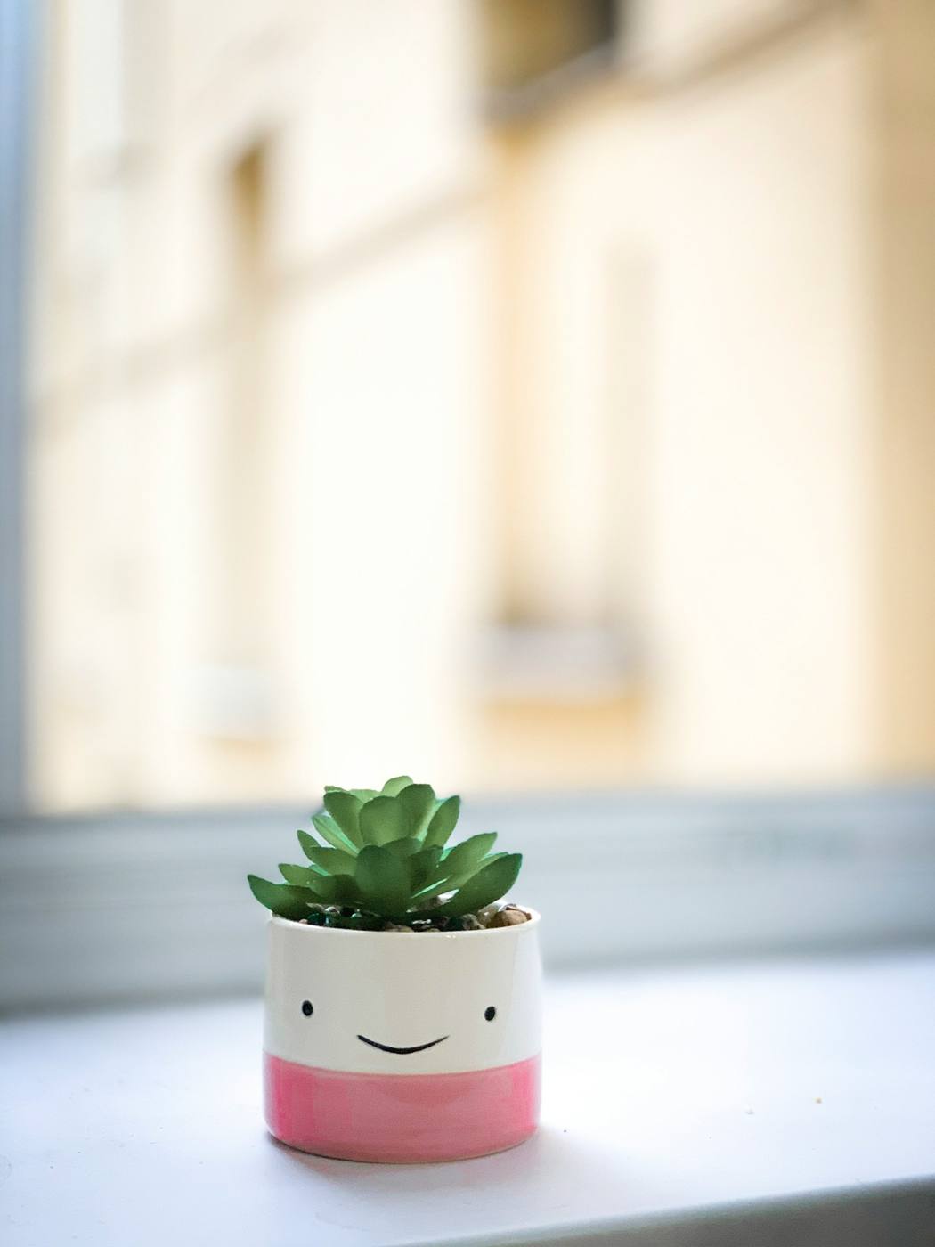 Matera pequeña con cara sonriente y un cactus